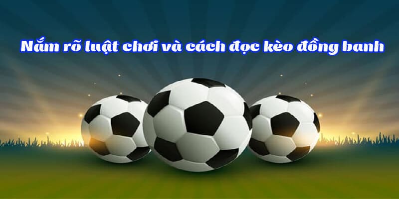 Cách cược đồng banh cho người mới bắt đầu